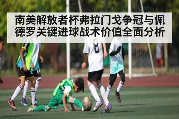 南美解放者杯弗拉门戈争冠与佩德罗关键进球战术价值全面分析